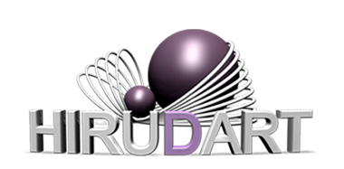 10 años en 3D, emprendimientos y aprendizajes 1 Hirudart_logo2011
